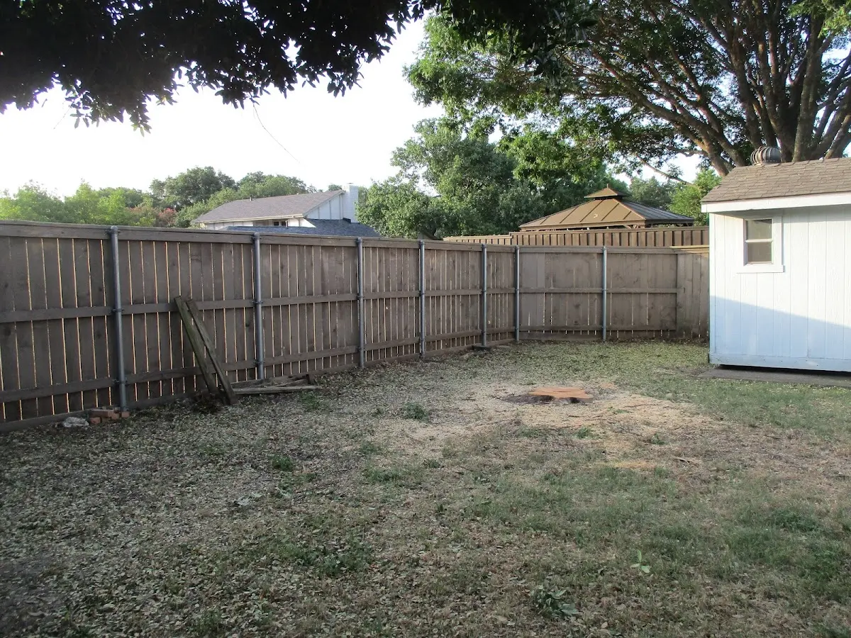 Cleared yard after professional tree removal in New Boston